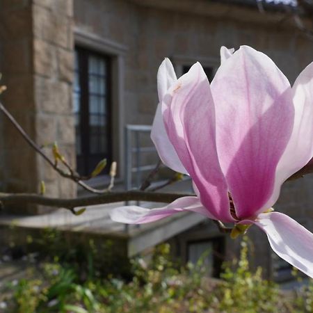 Alvores Do Tempo - Quinta De Turismo Rural Konuk evi Castro Daire Dış mekan fotoğraf