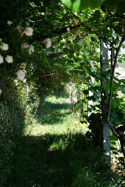 Alvores Do Tempo - Quinta De Turismo Rural Konuk evi Castro Daire Dış mekan fotoğraf