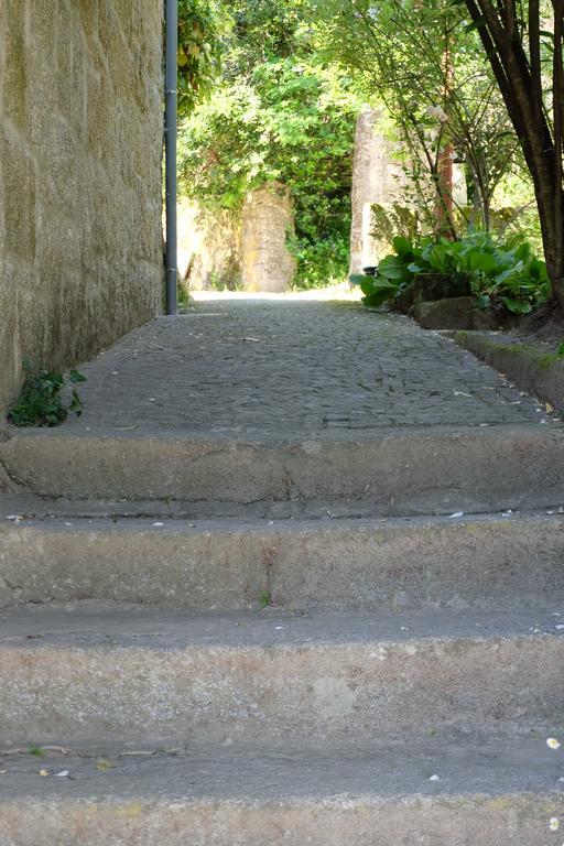 Alvores Do Tempo - Quinta De Turismo Rural Konuk evi Castro Daire Dış mekan fotoğraf