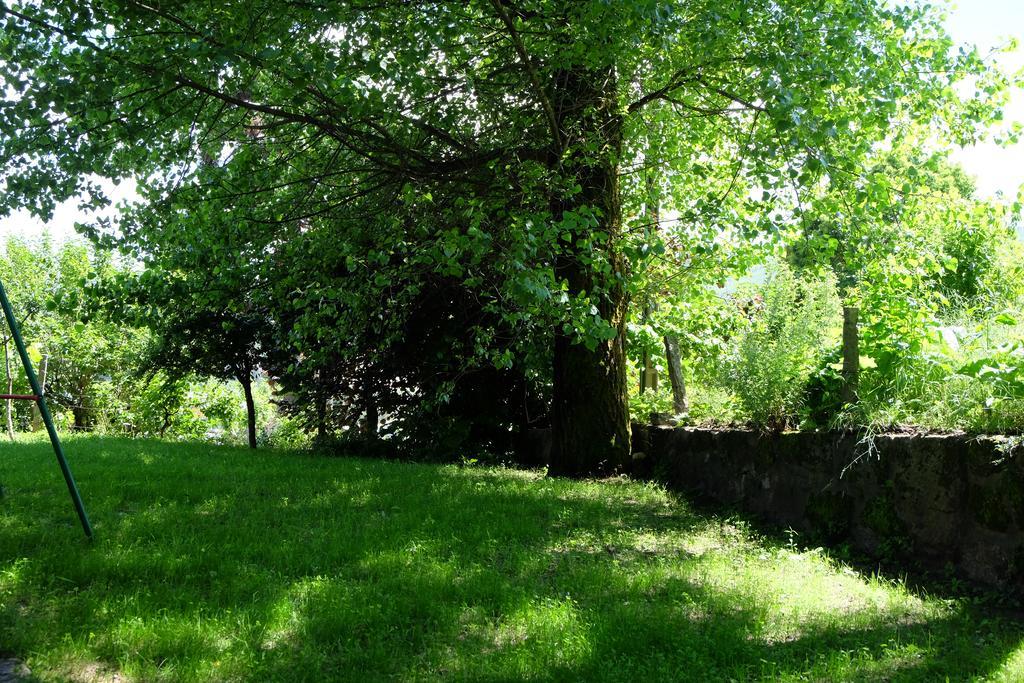 Alvores Do Tempo - Quinta De Turismo Rural Konuk evi Castro Daire Dış mekan fotoğraf