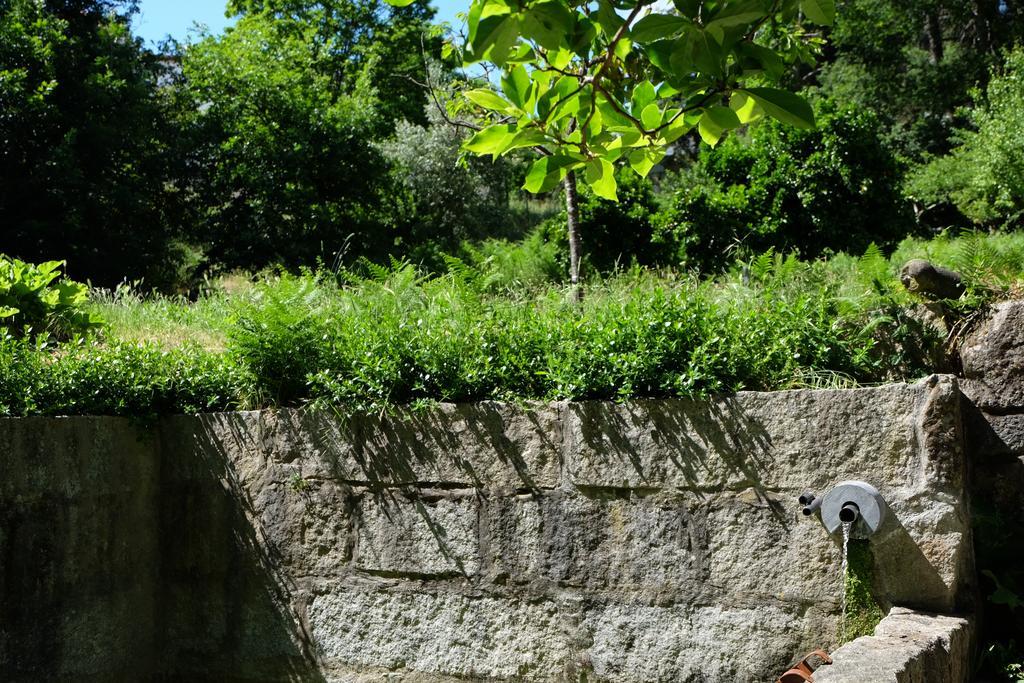 Alvores Do Tempo - Quinta De Turismo Rural Konuk evi Castro Daire Dış mekan fotoğraf