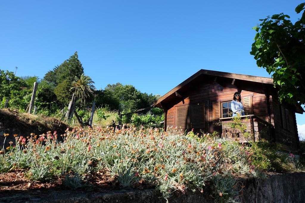 Alvores Do Tempo - Quinta De Turismo Rural Konuk evi Castro Daire Dış mekan fotoğraf