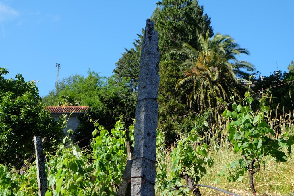 Alvores Do Tempo - Quinta De Turismo Rural Konuk evi Castro Daire Dış mekan fotoğraf