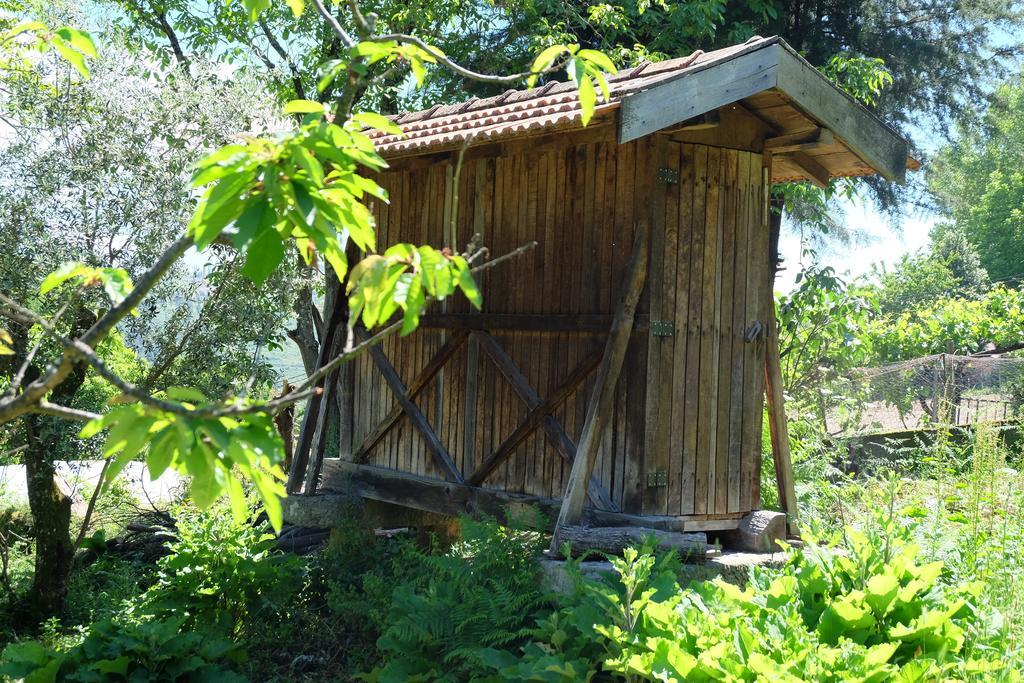 Alvores Do Tempo - Quinta De Turismo Rural Konuk evi Castro Daire Dış mekan fotoğraf