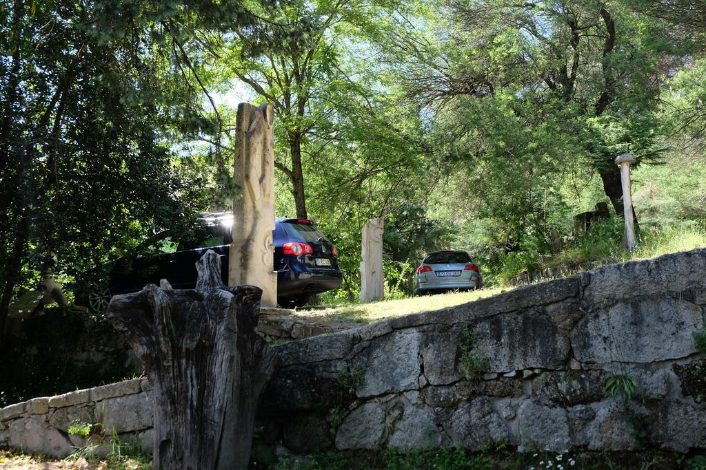 Alvores Do Tempo - Quinta De Turismo Rural Konuk evi Castro Daire Dış mekan fotoğraf