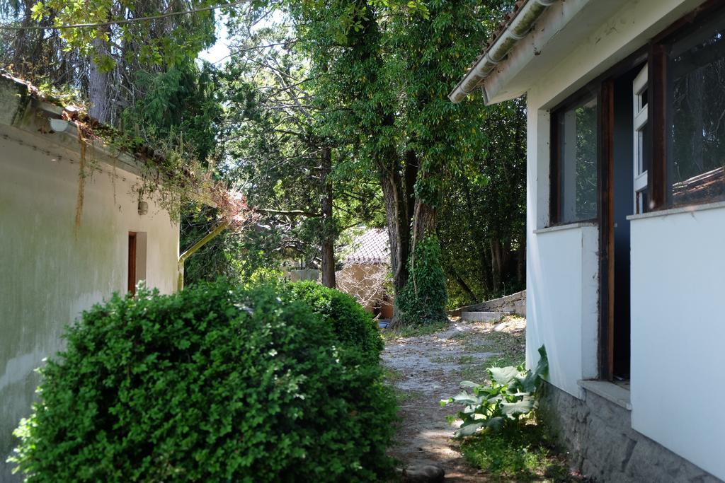 Alvores Do Tempo - Quinta De Turismo Rural Konuk evi Castro Daire Dış mekan fotoğraf