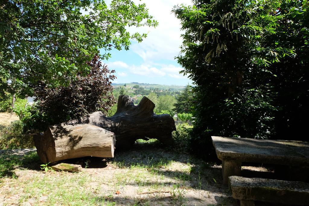 Alvores Do Tempo - Quinta De Turismo Rural Konuk evi Castro Daire Dış mekan fotoğraf