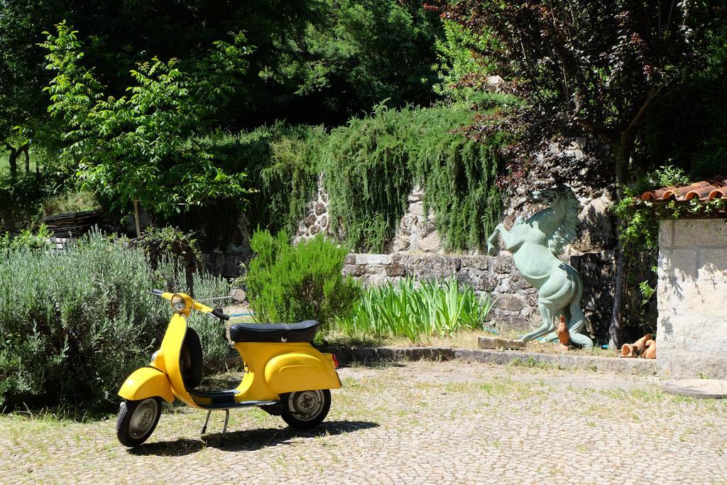 Alvores Do Tempo - Quinta De Turismo Rural Konuk evi Castro Daire Dış mekan fotoğraf