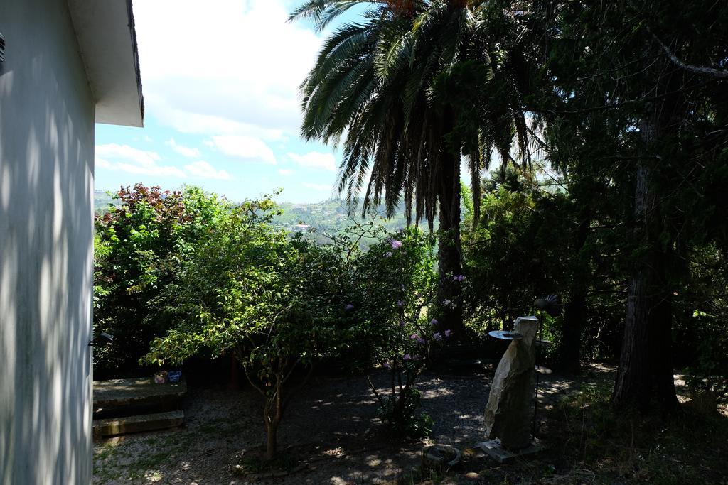 Alvores Do Tempo - Quinta De Turismo Rural Konuk evi Castro Daire Dış mekan fotoğraf