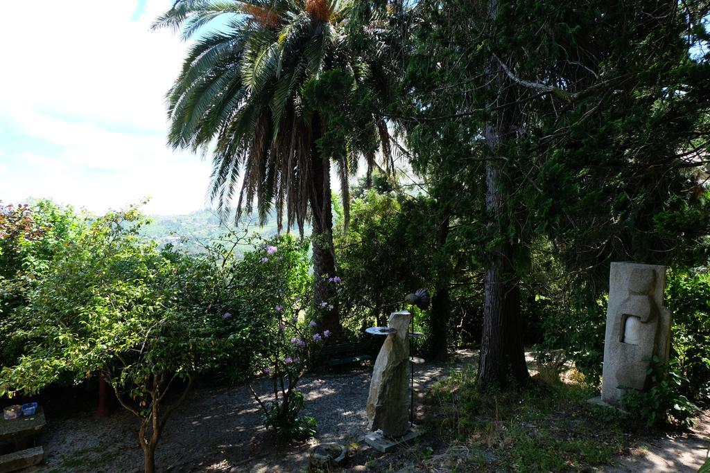 Alvores Do Tempo - Quinta De Turismo Rural Konuk evi Castro Daire Dış mekan fotoğraf