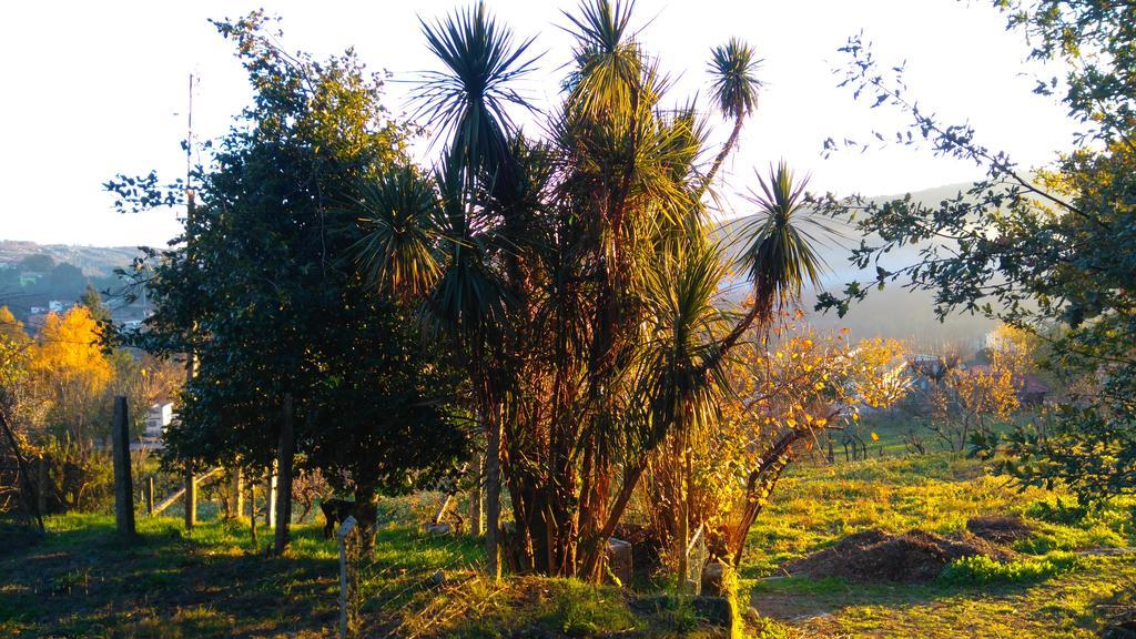 Alvores Do Tempo - Quinta De Turismo Rural Konuk evi Castro Daire Dış mekan fotoğraf