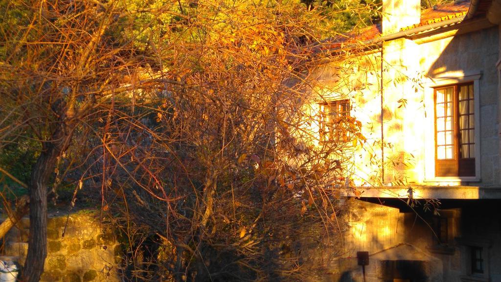 Alvores Do Tempo - Quinta De Turismo Rural Konuk evi Castro Daire Dış mekan fotoğraf