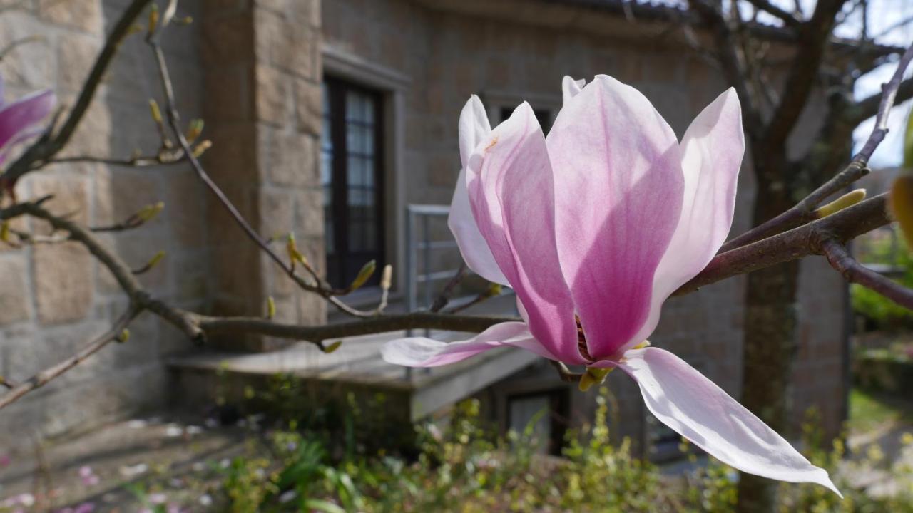 Alvores Do Tempo - Quinta De Turismo Rural Konuk evi Castro Daire Dış mekan fotoğraf